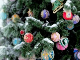 lastochka-01-2026- 63